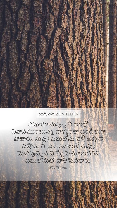 యిర్మీయా 20:6 TELIRV Mobile Phone Wallpaper - పషూరు! నువ్వూ నీ - Mobile Bible Verse Wallpaper