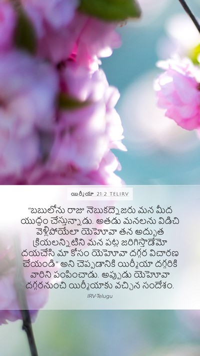 యిర్మీయా 21:2 TELIRV Bible Verse Image