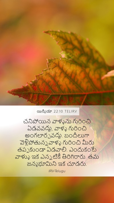 యిర్మీయా 22:10 TELIRV Bible Verse Image