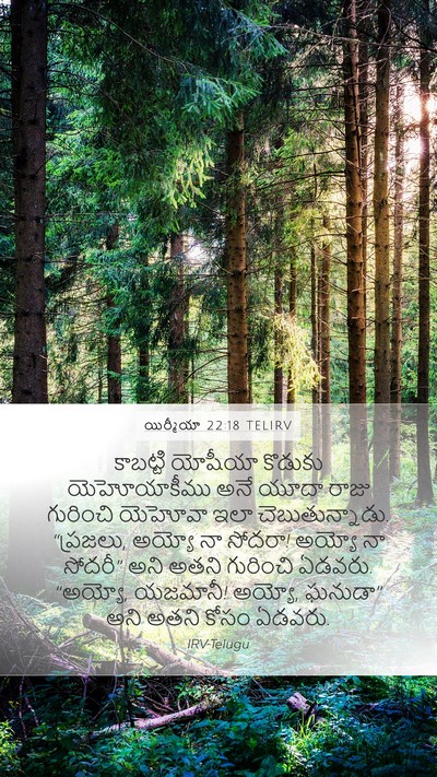 యిర్మీయా 22:18 TELIRV Bible Verse Image