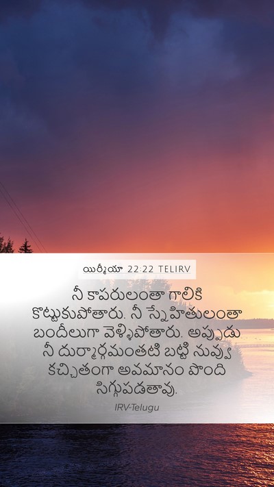 యిర్మీయా 22:22 TELIRV Bible Verse Image
