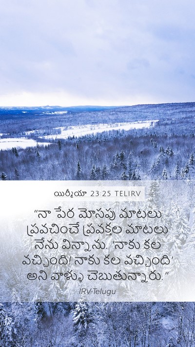 యిర్మీయా 23:25 TELIRV Bible Verse Image