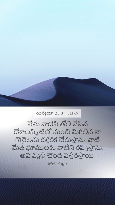 యిర్మీయా 23:3 TELIRV Bible Verse Image