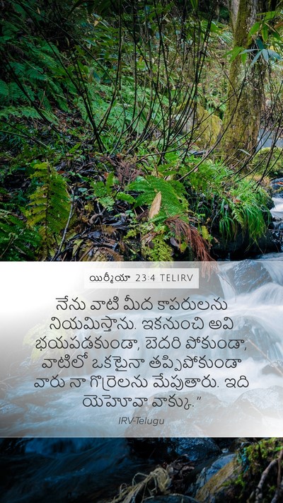 యిర్మీయా 23:4 TELIRV Bible Verse Image