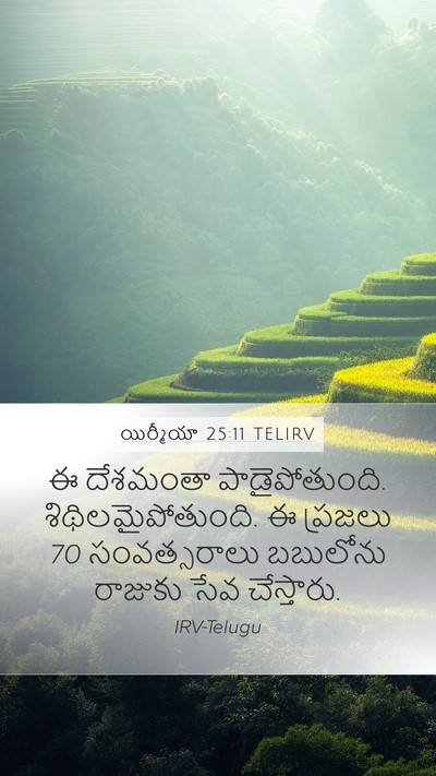 యిర్మీయా 25:11 TELIRV Bible Verse Image