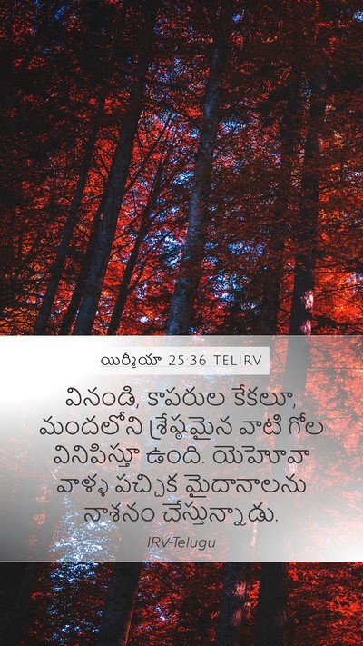 యిర్మీయా 25:36 TELIRV Mobile Phone Wallpaper - వినండి, కాపరుల - Mobile Bible Verse Wallpaper