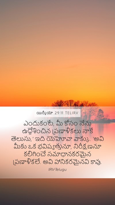 యిర్మీయా 29:11 TELIRV Bible Verse Image