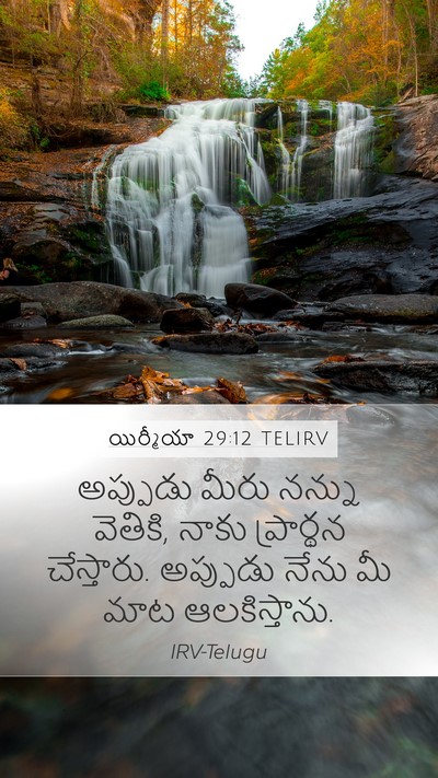 యిర్మీయా 29:12 TELIRV Bible Verse Image