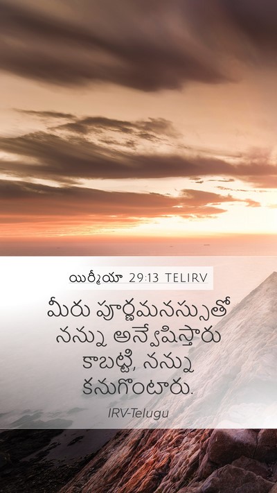 యిర్మీయా 29:13 TELIRV Bible Verse Image