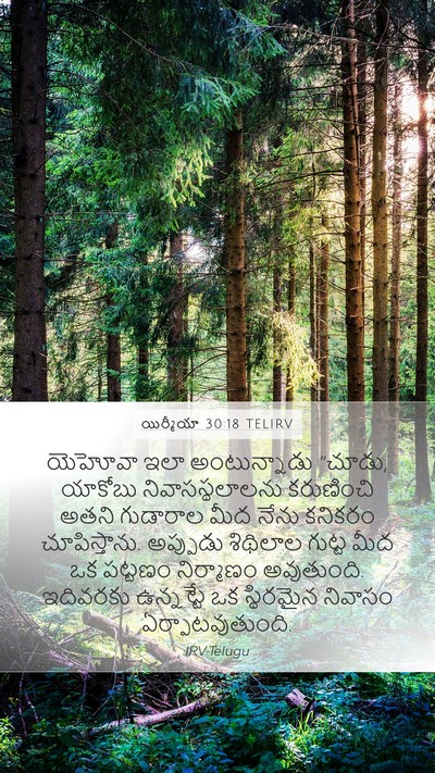 యిర్మీయా 30:18 TELIRV Bible Verse Image