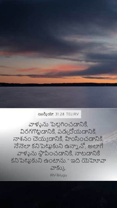 యిర్మీయా 31:28 TELIRV Bible Verse Image