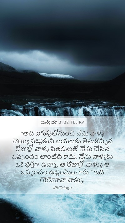యిర్మీయా 31:32 TELIRV Bible Verse Image