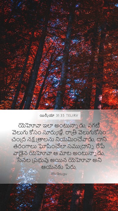 యిర్మీయా 31:35 TELIRV Bible Verse Image