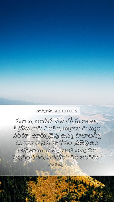 యిర్మీయా 31:40 TELIRV Bible Verse Image