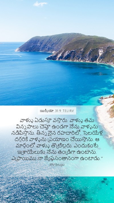 యిర్మీయా 31:9 TELIRV Bible Verse Image