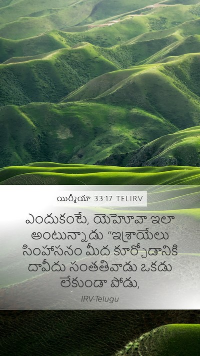 యిర్మీయా 33:17 TELIRV Bible Verse Image
