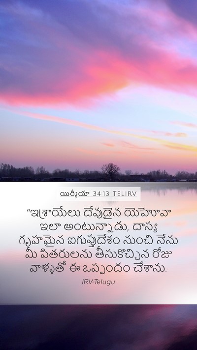 యిర్మీయా 34:13 TELIRV Bible Verse Image