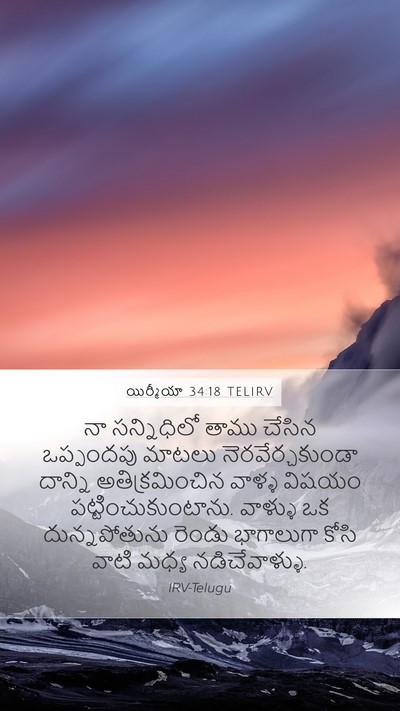 యిర్మీయా 34:18 TELIRV Bible Verse Image