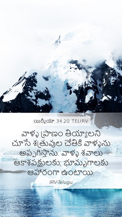 యిర్మీయా 34:20 TELIRV Bible Verse Image
