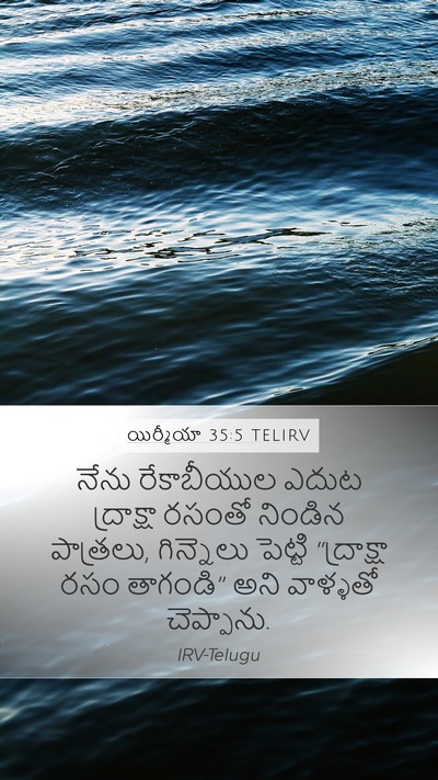 యిర్మీయా 35:5 TELIRV Mobile Phone Wallpaper - నేను రేకాబీయుల - Mobile Bible Verse Wallpaper