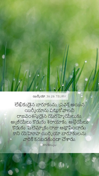 యిర్మీయా 36:26 TELIRV Bible Verse Image