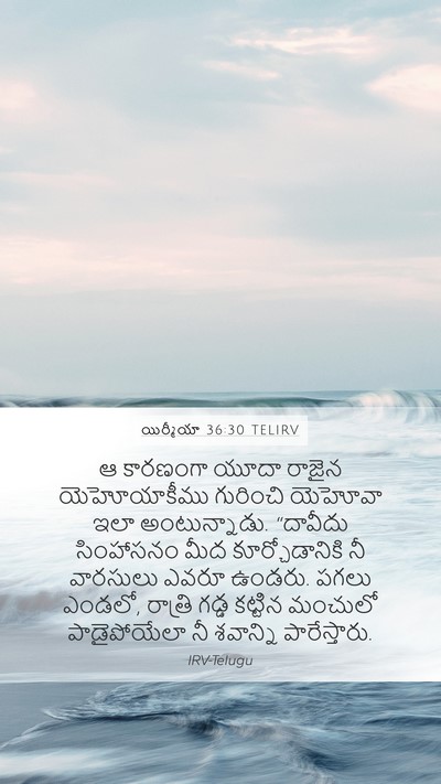 యిర్మీయా 36:30 TELIRV Bible Verse Image