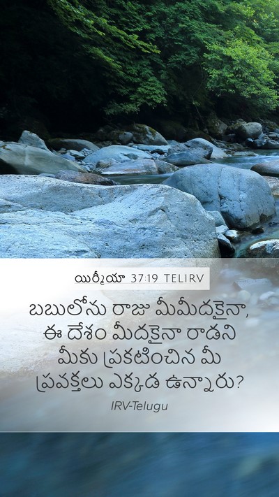 యిర్మీయా 37:19 TELIRV Bible Verse Image
