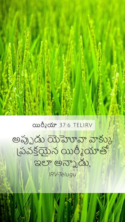 యిర్మీయా 37:6 TELIRV Bible Verse Image
