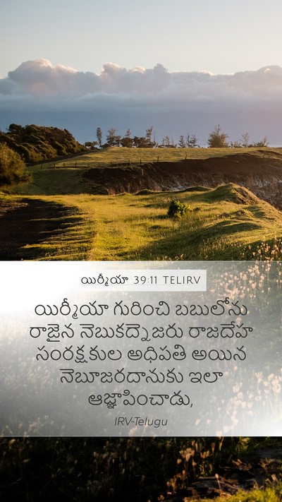 యిర్మీయా 39:11 TELIRV Bible Verse Image