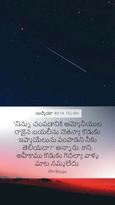యిర్మీయా 40:14 TELIRV Bible Verse Image