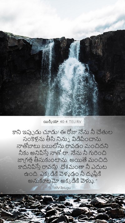 యిర్మీయా 40:4 TELIRV Bible Verse Image