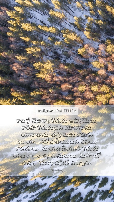 యిర్మీయా 40:8 TELIRV Bible Verse Image