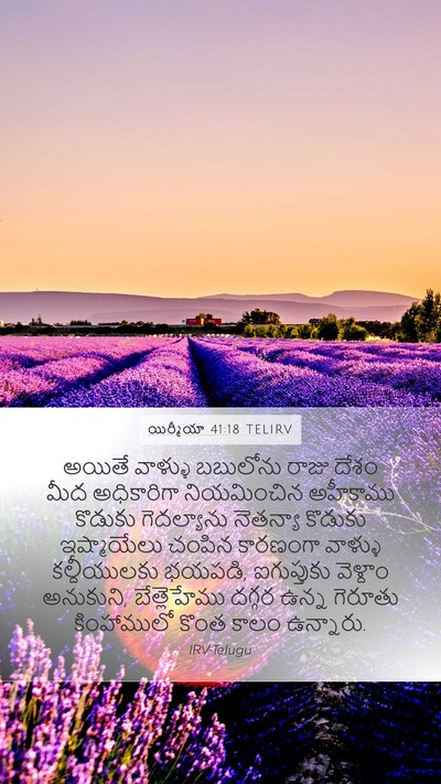 యిర్మీయా 41:18 TELIRV Mobile Phone Wallpaper - అయితే వాళ్ళు - Mobile Bible Verse Wallpaper