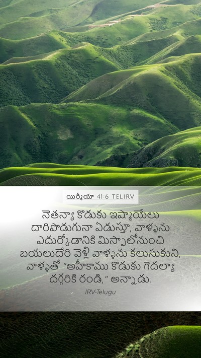 యిర్మీయా 41:6 TELIRV Bible Verse Image