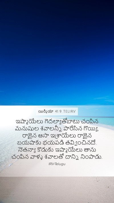 యిర్మీయా 41:9 TELIRV Mobile Phone Wallpaper - ఇష్మాయేలు - Mobile Bible Verse Wallpaper