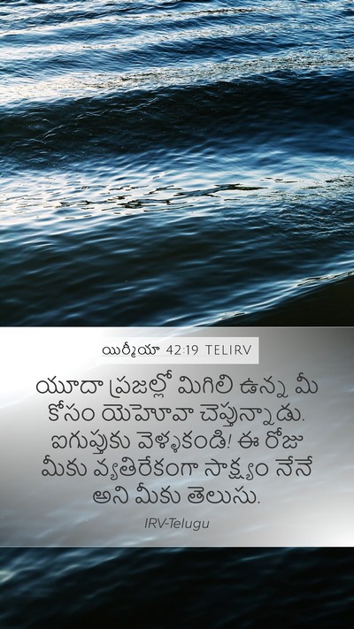 యిర్మీయా 42:19 TELIRV Bible Verse Image