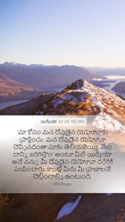 యిర్మీయా 42:20 TELIRV Bible Verse Image