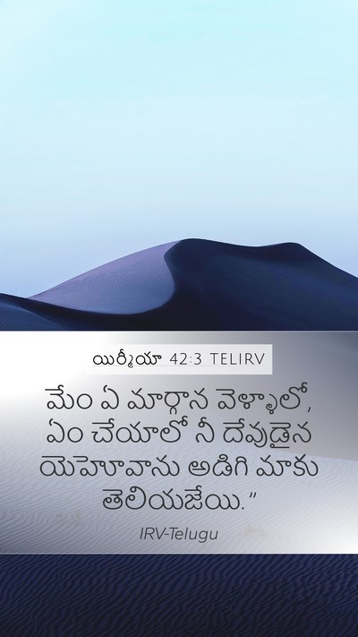 యిర్మీయా 42:3 TELIRV Bible Verse Image