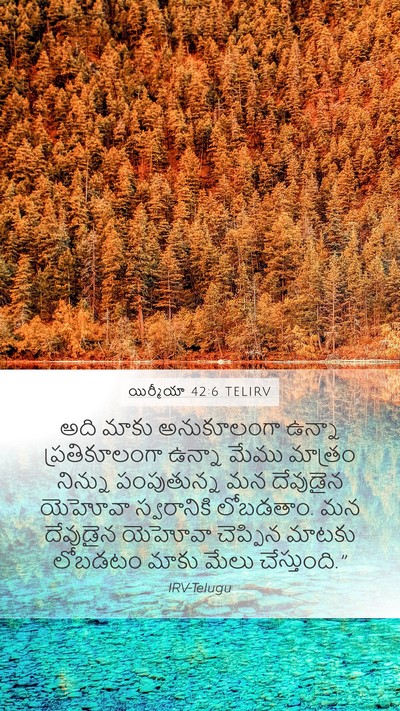యిర్మీయా 42:6 TELIRV Bible Verse Image