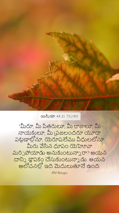 యిర్మీయా 44:21 TELIRV Bible Verse Image