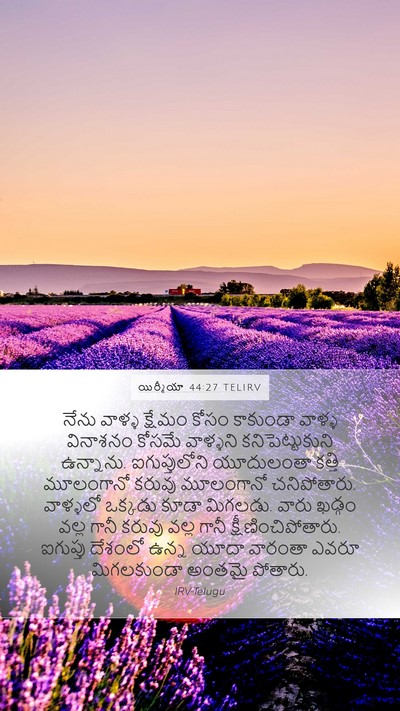 యిర్మీయా 44:27 TELIRV Bible Verse Image