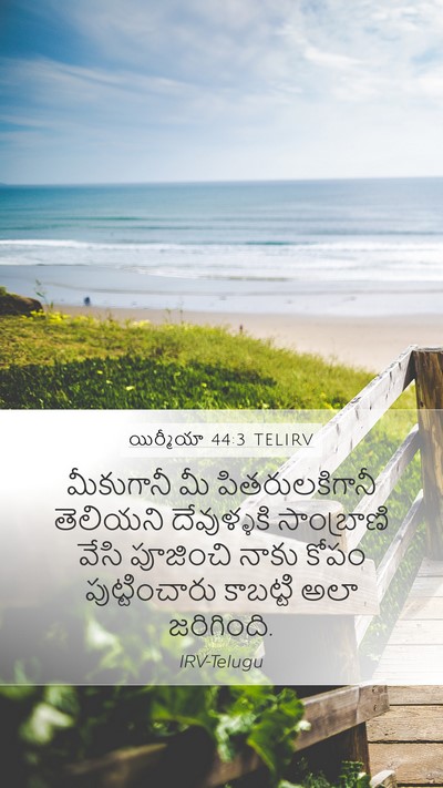 యిర్మీయా 44:3 TELIRV Bible Verse Image