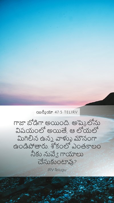 యిర్మీయా 47:5 TELIRV Bible Verse Image