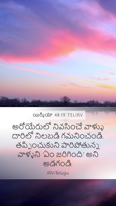 యిర్మీయా 48:19 TELIRV Bible Verse Image