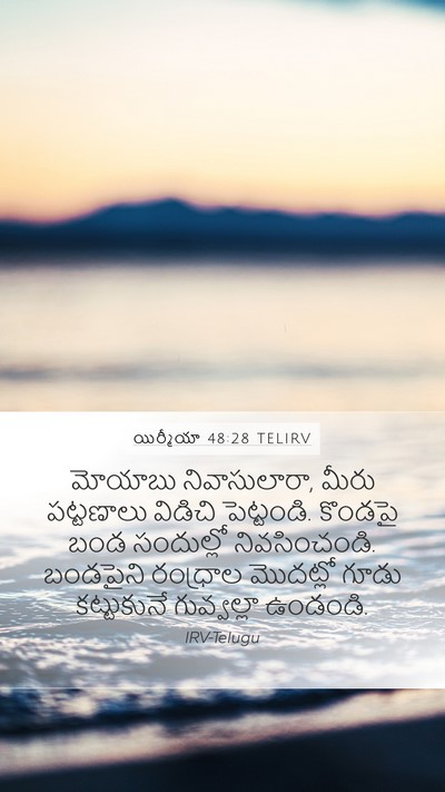 యిర్మీయా 48:28 TELIRV Bible Verse Image