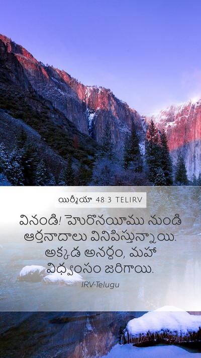 యిర్మీయా 48:3 TELIRV Bible Verse Image