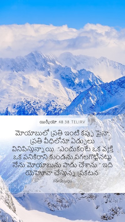 యిర్మీయా 48:38 TELIRV Bible Verse Image