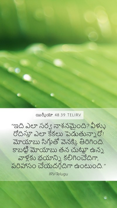 యిర్మీయా 48:39 TELIRV Bible Verse Image
