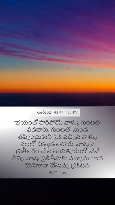 యిర్మీయా 48:44 TELIRV Bible Verse Image