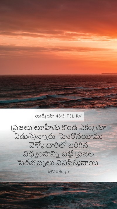 యిర్మీయా 48:5 TELIRV Bible Verse Image